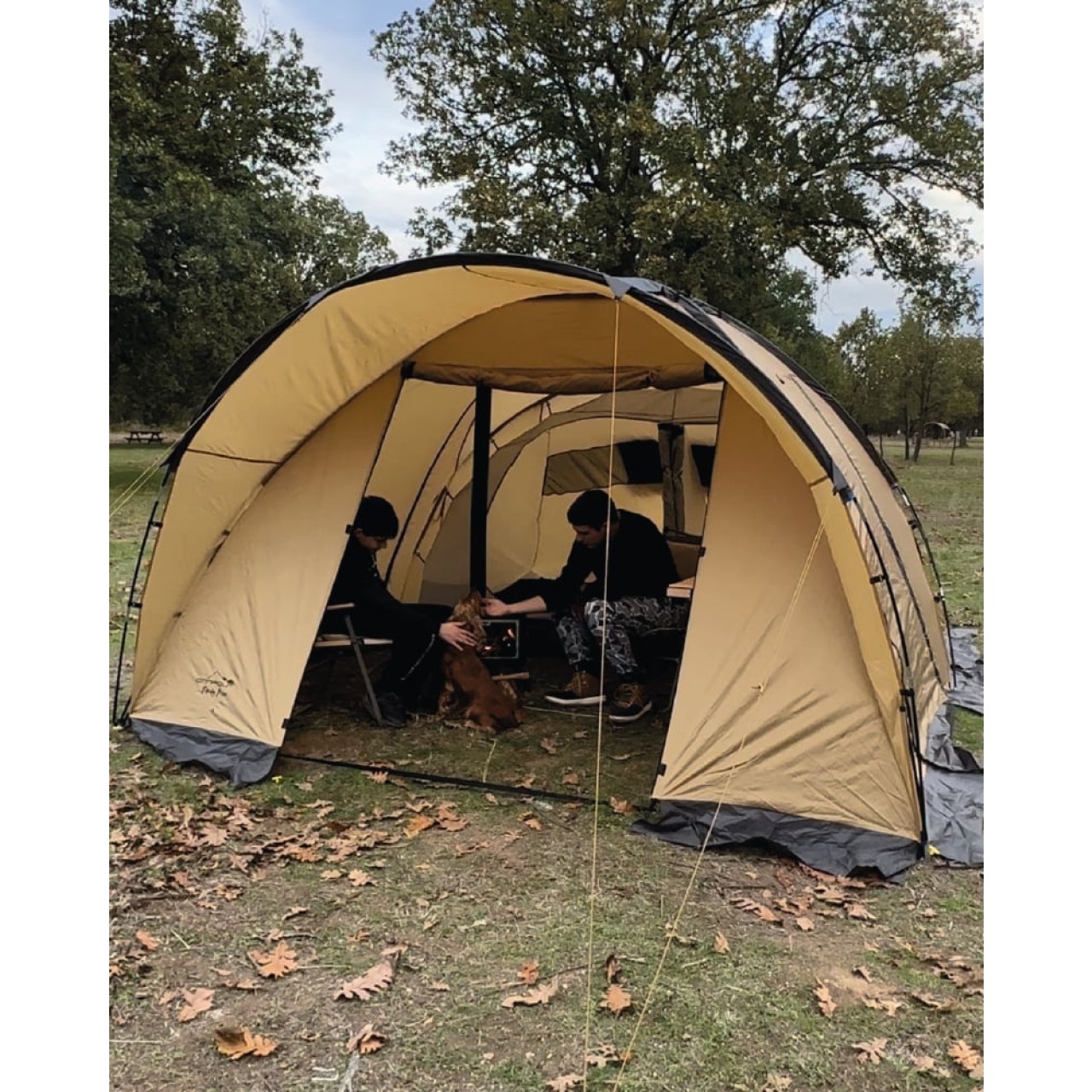CAMPOUT FAMİLY MAXİ ÇADIR GOLD 475X340X215